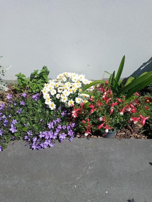 Luxury Holiday Rental With Sea Views On The Wild Atlantic Way Tralee Eksteriør billede