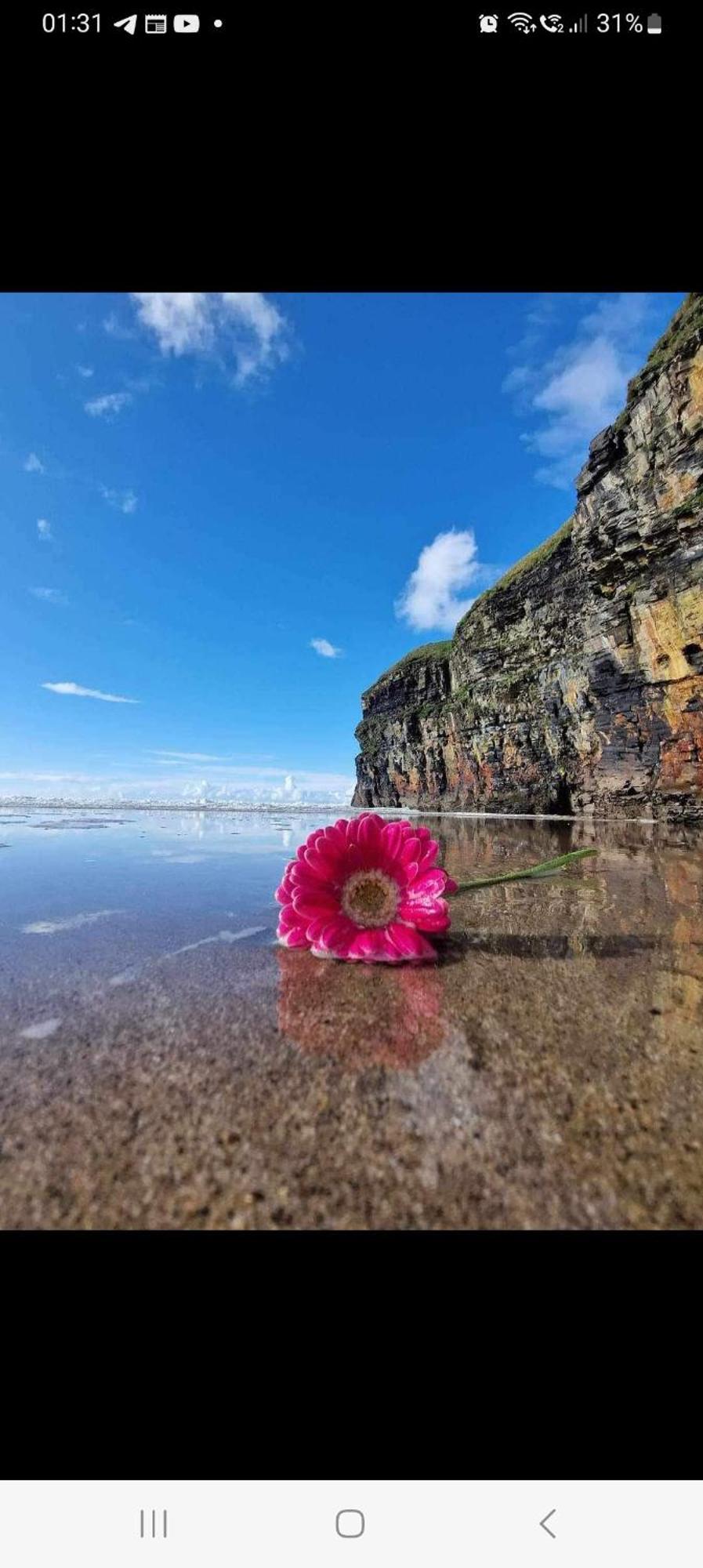 Luxury Holiday Rental With Sea Views On The Wild Atlantic Way Tralee Eksteriør billede